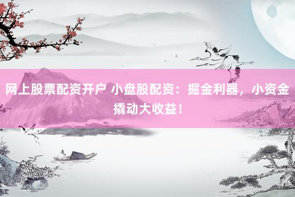 网上股票配资开户 小盘股配资：掘金利器，小资金撬动大收益！