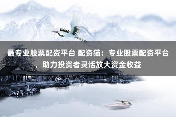 最专业股票配资平台 配资猫：专业股票配资平台，助力投资者灵活放大资金收益