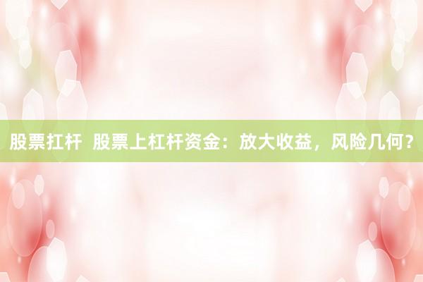股票扛杆  股票上杠杆资金：放大收益，风险几何？
