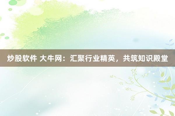 炒股软件 大牛网：汇聚行业精英，共筑知识殿堂