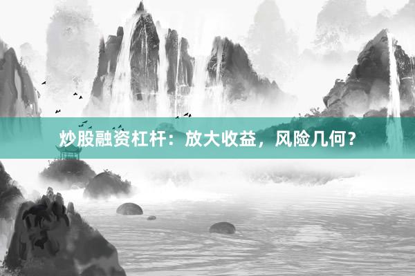 炒股融资杠杆：放大收益，风险几何？