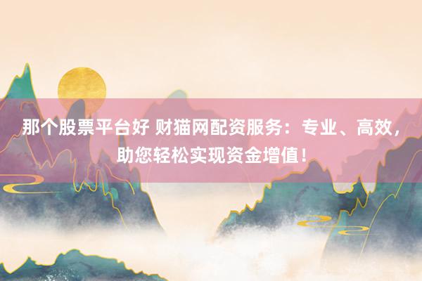 那个股票平台好 财猫网配资服务:专业、高效,助您轻松实现资金增值!
