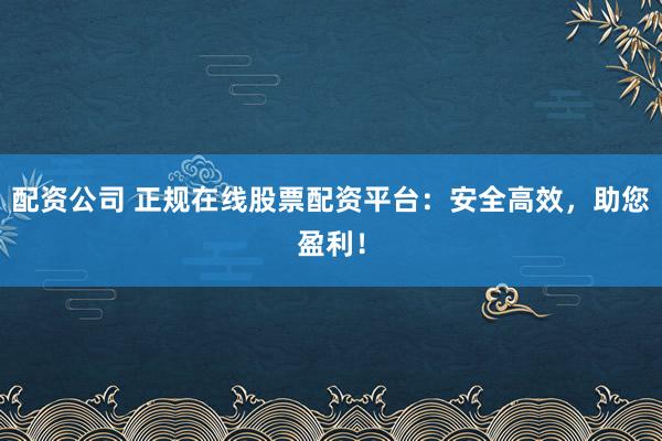 配资公司 正规在线股票配资平台：安全高效，助您盈利！
